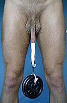 penis weight hanging